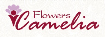 CameliaFlowers
